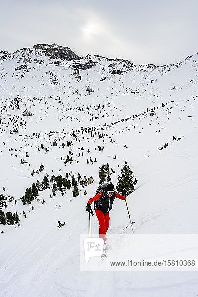 Haarnadelkurve  Skitourengeher in verschneiter Berglandschaft beim Aufstieg  Wattentaler Lizum  Tuxer Alpen  Tirol  Österreich  Europa