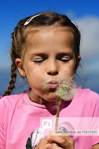 Girl blowing in dandelion summit panorama trail of the Hohe Salve Hopfgarten Brixental Kitzbühel Alps Tyrol Austria Europe