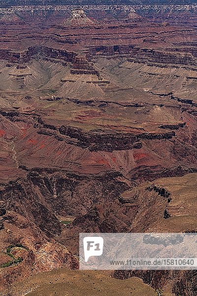 Blick auf die Canyonlandschaft  South Rim  Grand Canyon National Park  Arizona  USA  Nordamerika