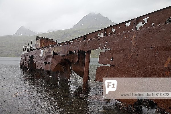Shipwreck in bad weather  Mjoifjoerdur  Iceland  Europe