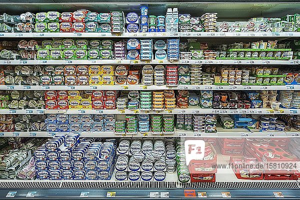 Kühlregal mit Frischkäse Supermarkt Deutschland Europa