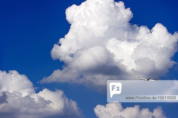 Gewitterwolken  Cumulonimbus  Lufthansa Passagierflugzeug über dem Flughafen München  Freising  Oberbayern  Bayern  Deutschland  Europa