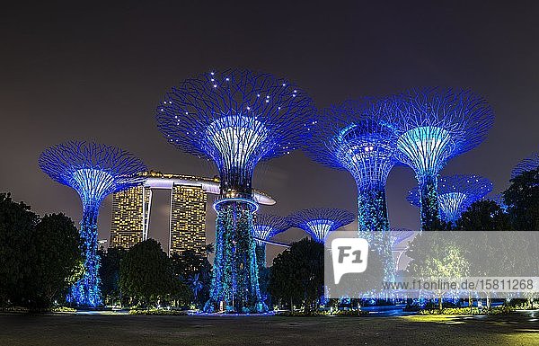 Supertrees bei Nacht  im Hintergrund das Marina Bay Sands Hotel  Supertree Grove  Gardens by the Bay  Singapur  Asien