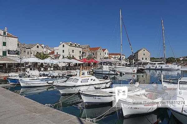 Promenade mit Fischerbooten im Hafen  Primosten  Kroatische Adriaküste  Mitteldalmatien  Dalmatien  Kroatien  Europa