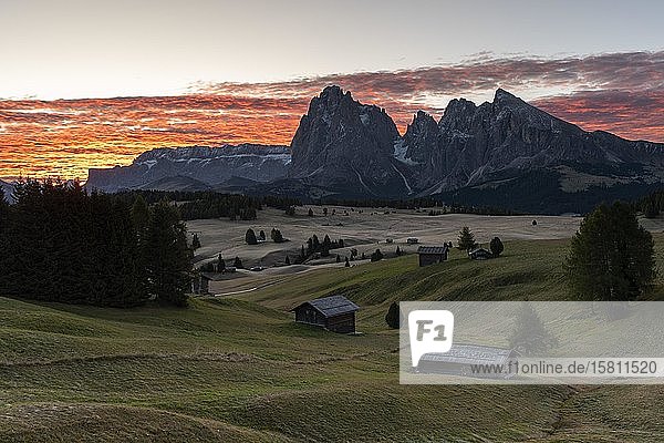 Sunrise  Alpe di Siusi  Sassolungo  Plattkofel  South Tyrol  Italy  Europe