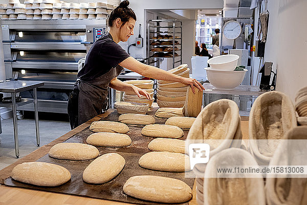 Woman wearing apron standing in an artisan bakery shaping sourdough loaves for baking.
