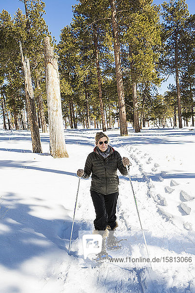 Eine erwachsene Frau in Schneeschuhen im Wald mit Skistöcken