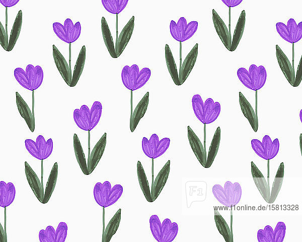Illustration von lila Tulpen auf weißem Hintergrund