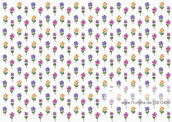 Illustration von mehrfarbigen Blumen auf weißem Hintergrund