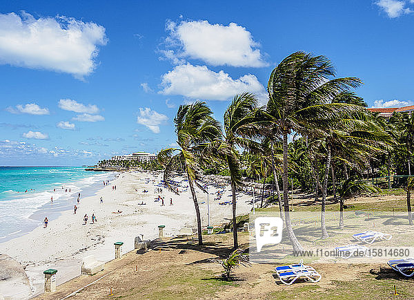 Strand in Varadero  Provinz Matanzas  Kuba  Westindien  Karibik  Mittelamerika