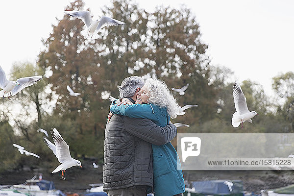 Lächelndes  zärtliches älteres Paar  das sich im Park mit fliegenden Vögeln umarmt