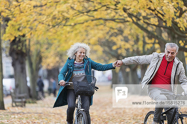 Affectionate senior couple holding hands  bike riding in autumn park