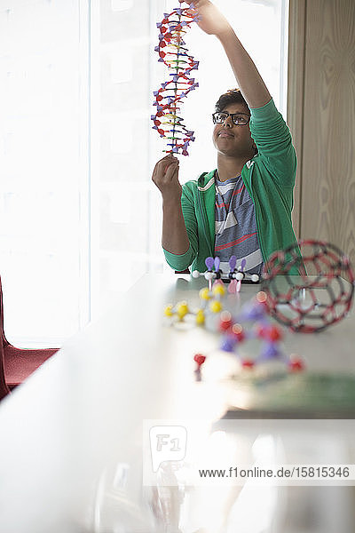 Boy student examining DNA model in laboratory classroom