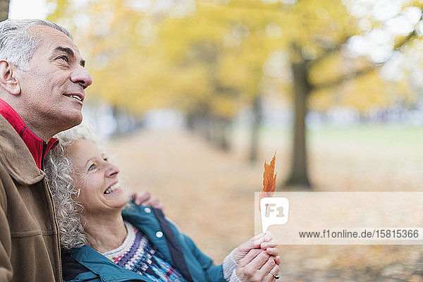 Zärtliches  neugieriges älteres Paar  das ein Blatt im Herbstpark hält