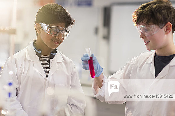 Junge Studenten  die eine Flüssigkeit im Reagenzglas untersuchen und ein wissenschaftliches Experiment im Labor durchführen