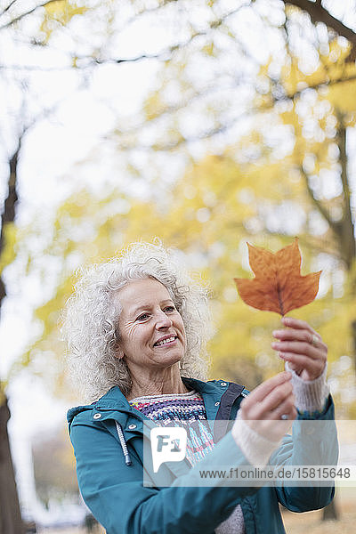 Neugierige ältere Frau hält orangefarbenes Herbstblatt im Park