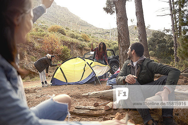 Junge Freunde bauen ein Lagerfeuer auf und schlagen ihr Zelt auf einem Campingplatz im Wald auf