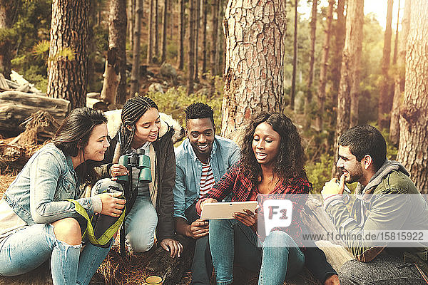 Junge Freunde benutzen ein digitales Tablet im Wald