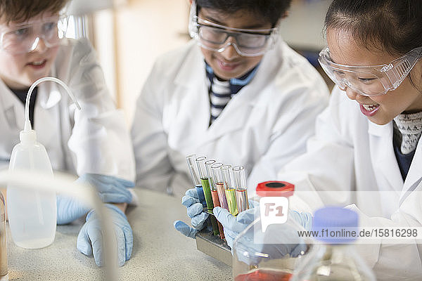 Schüler untersuchen Flüssigkeiten in einem Reagenzglasgestell und führen ein wissenschaftliches Experiment im Laboratorium durch