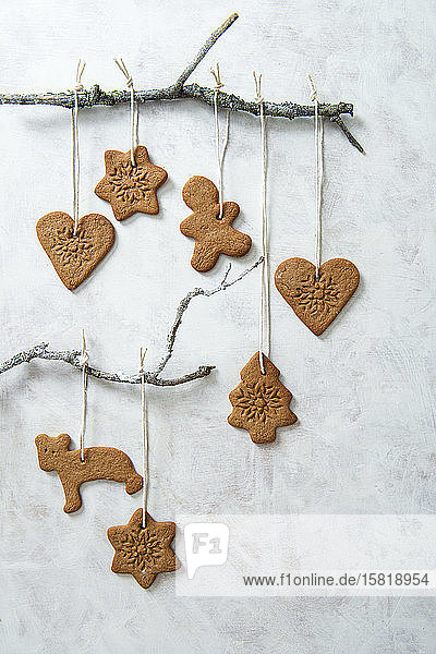 Christmas ginger bread biscuits as a tree decoration
