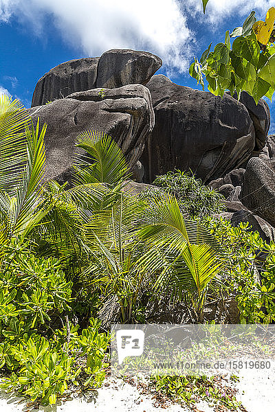 Seychellen  Niedrigwinkelansicht von Granitblöcken an der Quelle dArgent