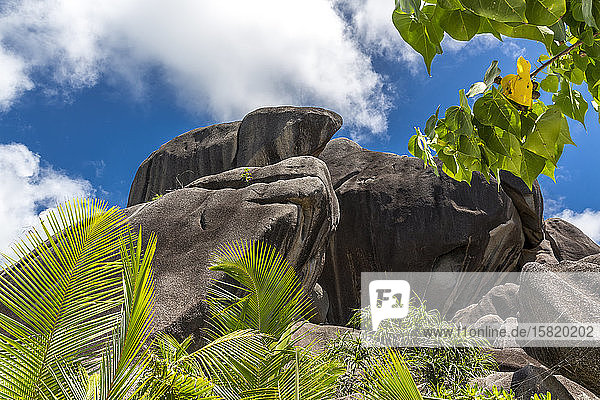 Seychellen  Niedrigwinkelansicht von Granitblöcken an der Quelle dArgent