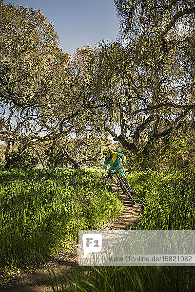 Man riding mountainbike on forest track  Fort Ord National Monument Park  Monterey  California  USA