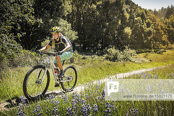 Woman riding mountainbike on single trail  Santa Cruz  California  USA