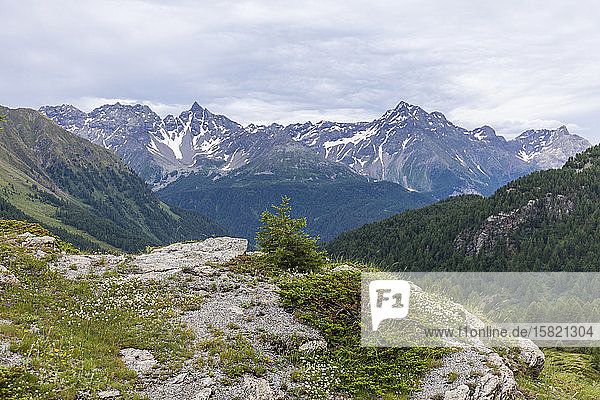 Schweiz  Kanton Graubünden  Szenische Ansicht des Berninapasses