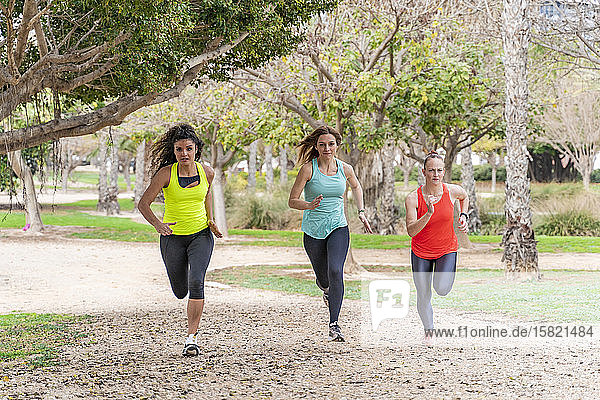 Drei sportliche junge Frauen laufen in einem Park