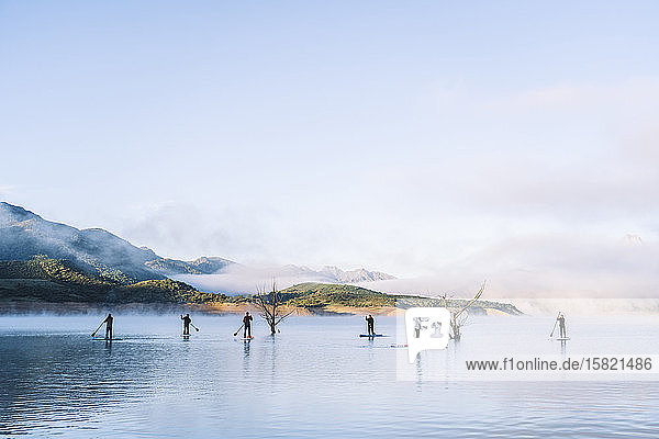 Eine Gruppe von Menschen steht beim Paddel-Surfen auf einem See auf