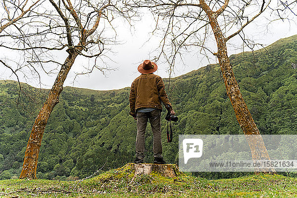 Rückansicht eines auf einem Baumstumpf stehenden Mannes mit Kamera  Sao-Miguel-Insel  Azoren  Portugal