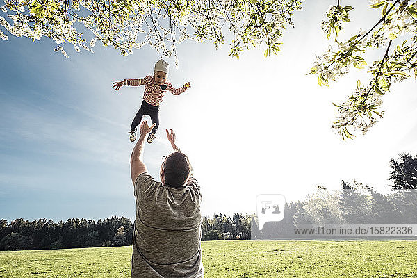 Father throwing little daughter up in air