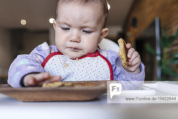 Porträt eines kleinen Mädchens auf einem Hochstuhl sitzend  das hausgemachte Haferflockenplätzchen mit den Händen isst