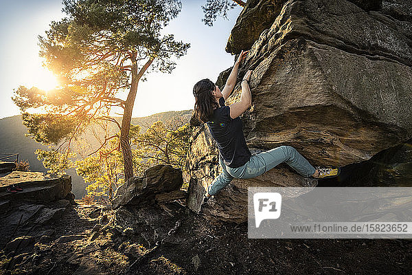 Female climber bouldering on rock  Neustadt an der Weinstrasse  Rhineland-Palatinate  Germany