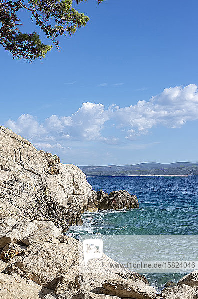 Kroatien  Lokva Rogoznica  Felsenküste des Adriatischen Meeres