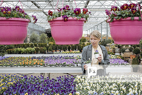 Woman choosing flowers in flower shop