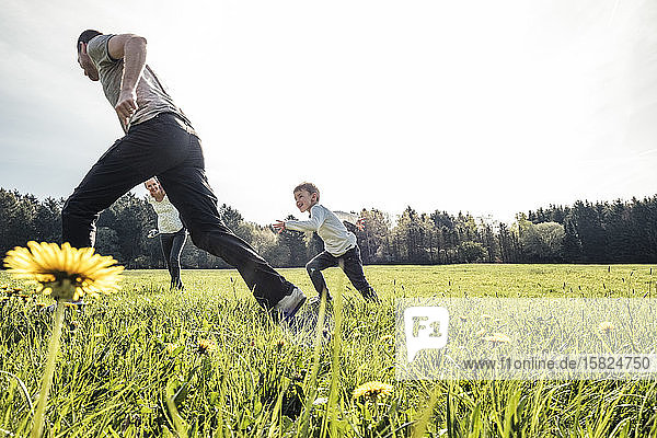 Family having fun together on a meadow in spring