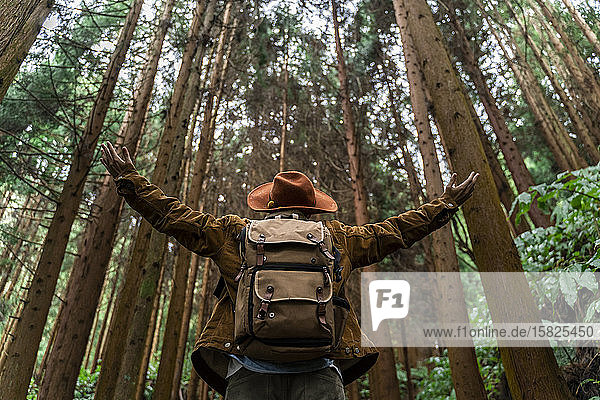 Mann steht im Wald umgeben von Bäumen Insel Sao Miguel Azoren Portugal