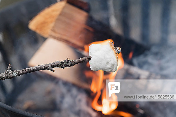 Close up of Marshmallow on stick roasting over fireÂ 