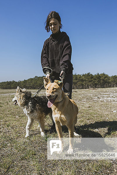 Junge Frau geht mit Hunden aus dem Tierheim spazierenÂ