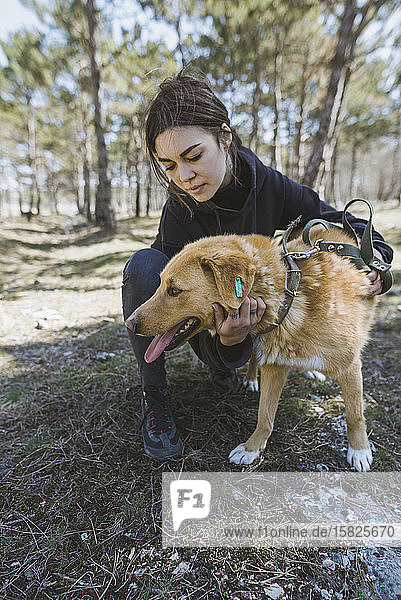 Junge Frau streichelt Hund aus dem Tierheim beim Spaziergang im Wald