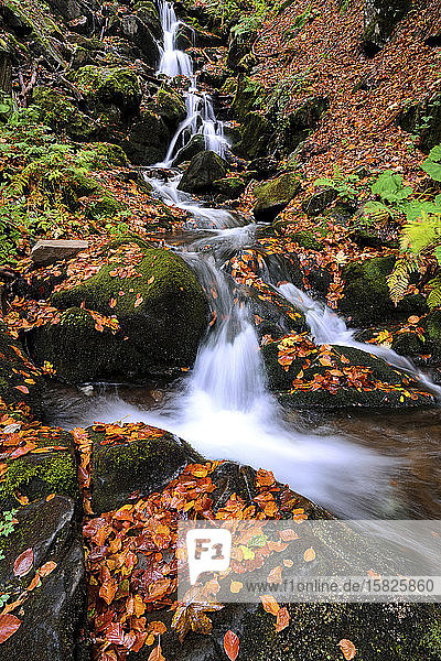 Ukraine  Region Zakarpattia  Karpaten  Wasserfall Verkhniy Shypot  Unscharfer Wasserfall in Herbstkulisse