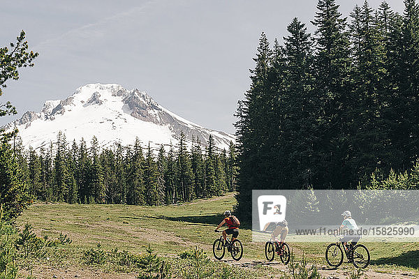Drei Freundinnen mit dem Mountainbike auf einem Wanderweg am Mt. Hood  Oregon.