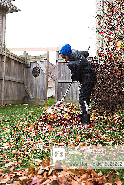 Adolescent boy raking leaves in the backyard on a fall day.