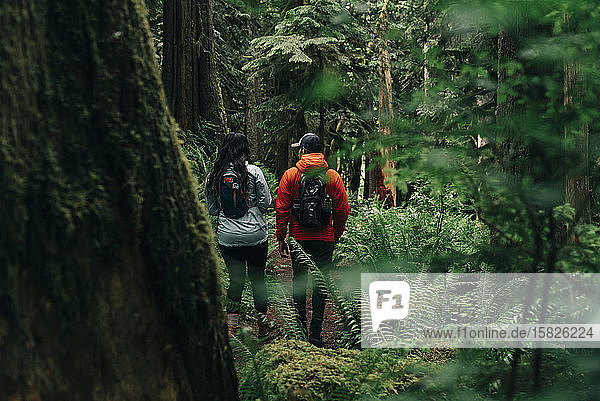 A young couple enjoys a hike on a trail in the Pacific Northwest.