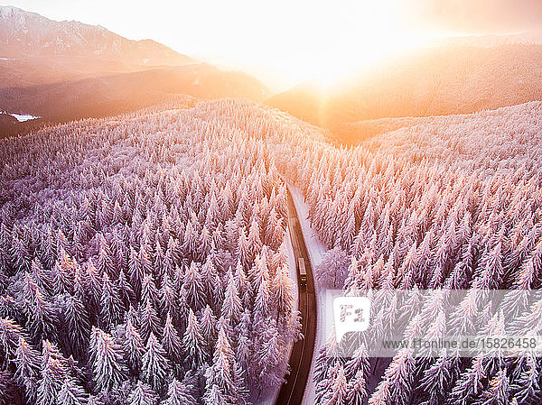 Aerial shot of truck passing through frozen forest at sunrise