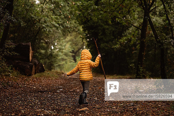 Kleinkind mit Stock geht im Wald im Regen in gelber Jacke