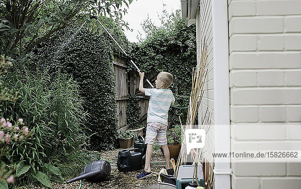 Junge bewässert im Sommer seinen englischen Bauerngarten