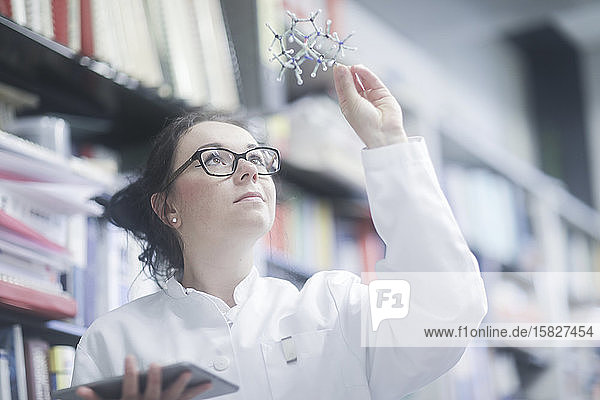 junge Wissenschaftlerin mit Modell in einer Bibliothek